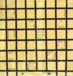 Wipers-Is This Real?-LP (Vinyl)-2