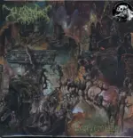 Worm-Foreverglade-LP (Vinyl)-1