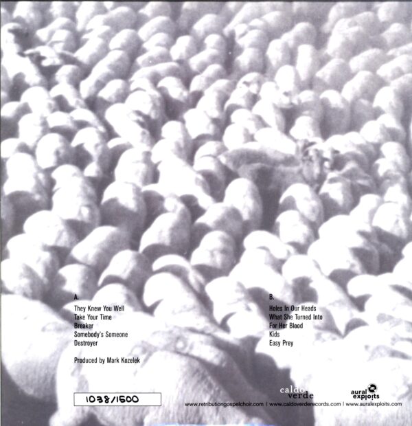 Retribution Gospel Choir-Retribution Gospel Choir-LP Vinyl
