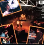 Stevie Ray Vaughan & Double Trouble-Live Alive-LP (Vinyl)-02