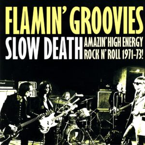 The Flamin' Groovies-Slow Death (Amazing High Energy Rock N' Roll 1971-73!)-LP Vinyl