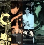 The Fleshtones-Roman Gods-LP Vinyl