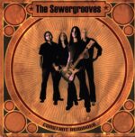 The Sewergrooves-Constant Reminder-LP Vinyl