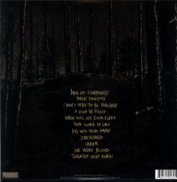 Wolves Like Us-Black Soul Choir-LP Vinyl
