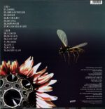 Dub War-Wrong Side Of Beautiful-LP Vinyl