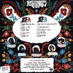 Mystic Braves-Desert Island-LP Vinyl