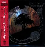 Seedy Jeezus-Polaris Oblique-LP Vinyl