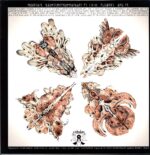 Colour Haze-2004 Extended Play-LP Vinyl