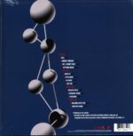 Foo Fighters-The Colour And The Shape-RE LP Vinyl