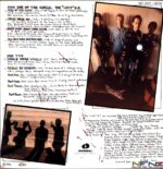 The Chills-The Lost EP-12 Vinyl