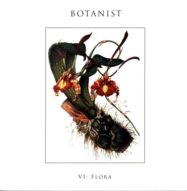 Botanist-VI Flora-LP Vinyl