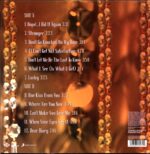 Britney Spears-Oops!...I Did It Again-purple LP Vinyl