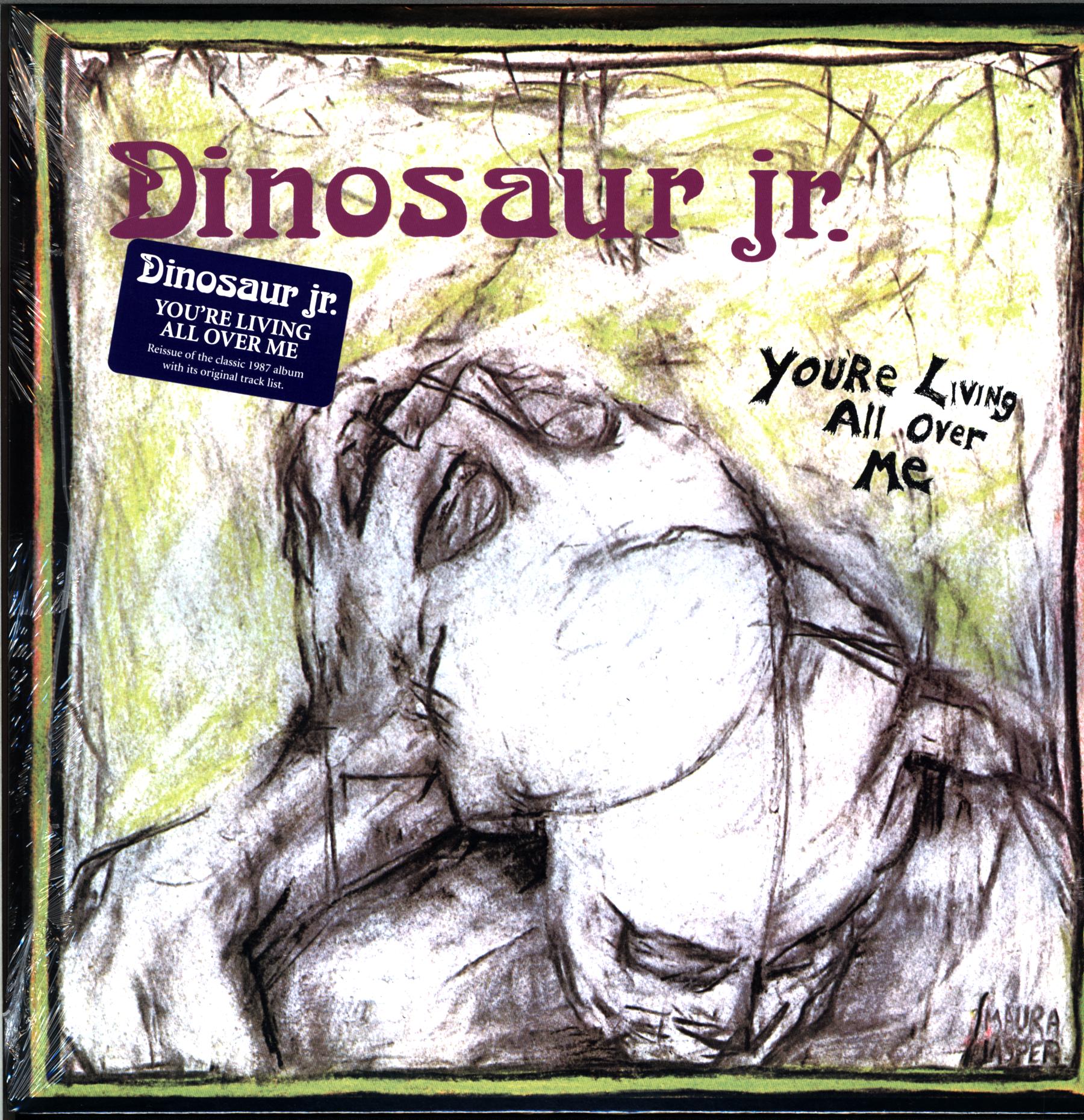 Dinosaur Jr.-You're Living All Over Me-LP Vinyl - Rockers Records