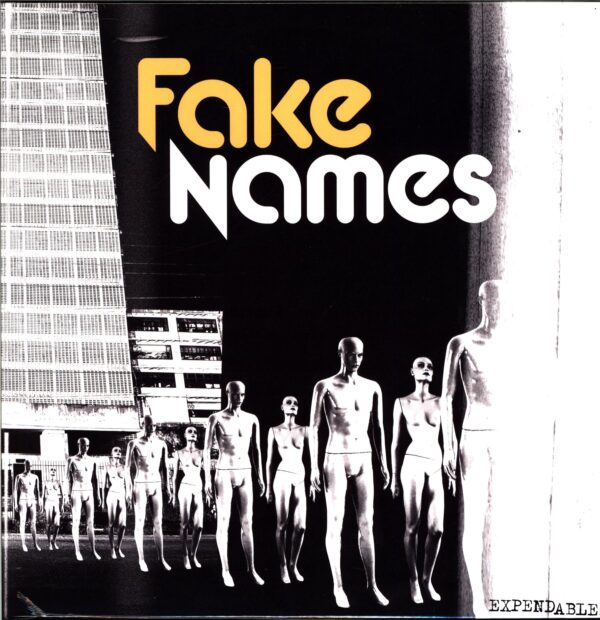 Fake Names-Expendables-12 Vinyl