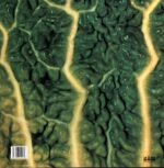 Catapilla-Changes-RE LP Vinyl