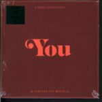 Larry Lovestein & The Velvet Revival-You-10 Vinyl