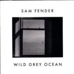 Sam Fender-Wild Grey Ocean-Little Bull Of Blithe-7 Vinyl