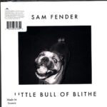 Sam Fender-Wild Grey Ocean-Little Bull Of Blithe-7 Vinyl