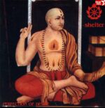 Shelter-Perfection Of Desire-peach LP Vinyl