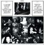 Subhumans-The Day The Country Died-bw galaxy LP Vinyl