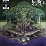Lord Fist-Wilderness Of Hearts-LP Vinyl