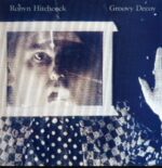 Robyn Hitchcock-Groovy Decoy-LP Vinyl