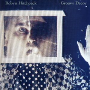 Robyn Hitchcock-Groovy Decoy-LP Vinyl