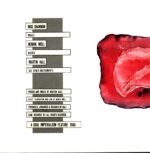 SS-Say-Fusion-12 Vinyl