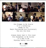 The Van Pelt-Stealing From Our Favorite Thieves-LP Vinyl
