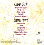 Dinosaur Jr.-Chocomel Daze-signed LP Vinyl