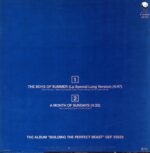 Don Henley-The Boys Of Summer (LP Special Long Version)-12 Vinyl