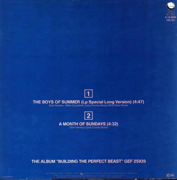 Don Henley-The Boys Of Summer (LP Special Long Version)-12 Vinyl