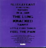 Electronic Anthology Project-The Electronic Anthology Project Of Dinosaur Jr.-LP Vinyl
