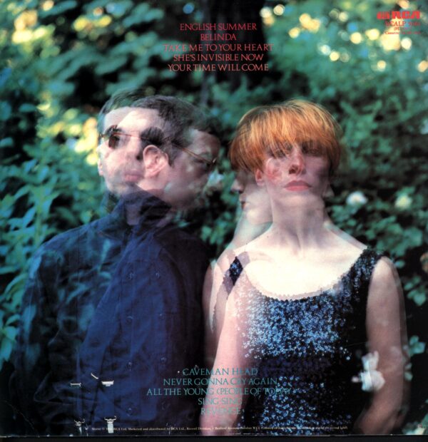 Eurythmics-In The Garden-LP Vinyl