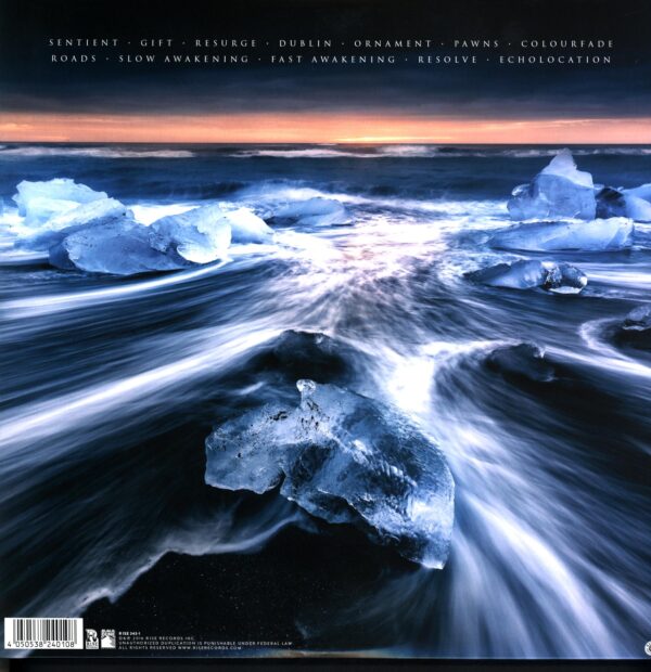 Gone Is Gone-Echolocation-LP Vinyl