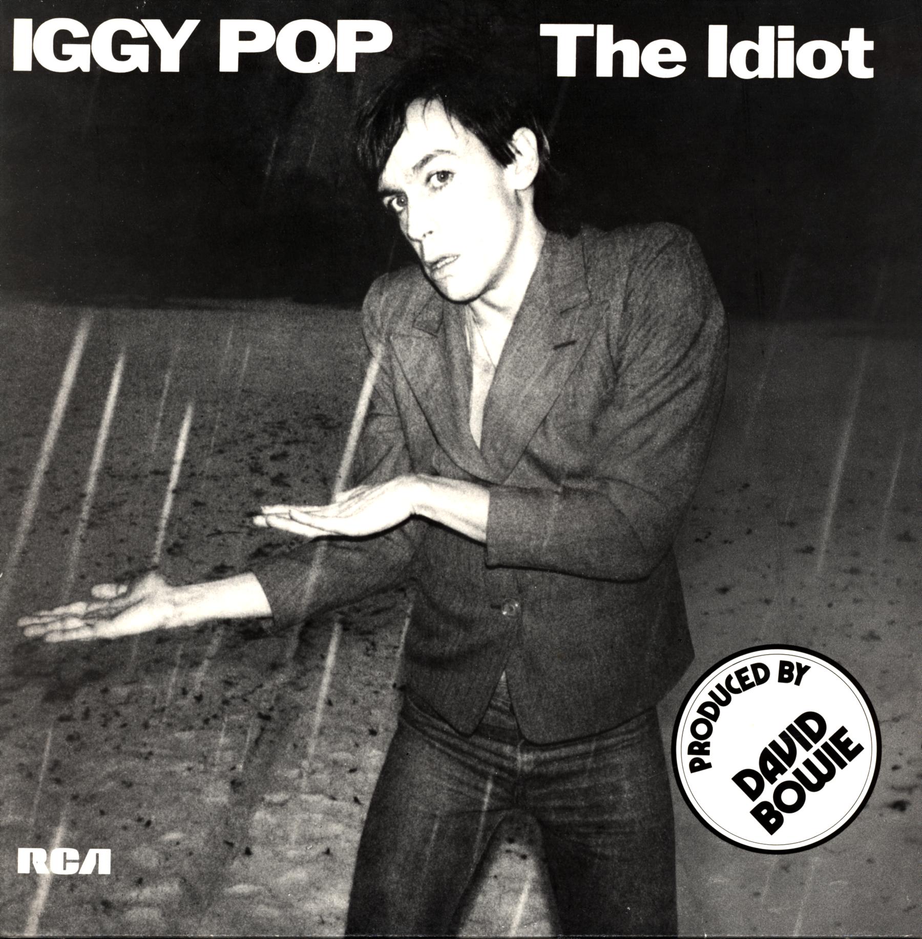 Iggy Pop-The Idiot-RP LP Vinyl-1 Iggy Pop-The Idiot-RP LP Vinyl