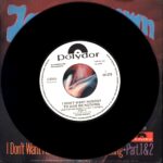 ames-Brown-I-Dont-Want-Nobody-To-Give-Me-Nothing-7-Vinyl-promo