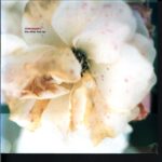 Motorpsycho-The Other Fool EP-10 Vinyl