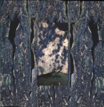 Wide Awake-Mentis Excessus-12 Vinyl