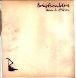 Babyshambles-Down In Albion-LP Vinyl