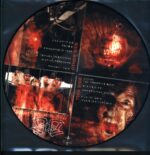 Darkane-Insanity-Picure Disc LP Vinyl