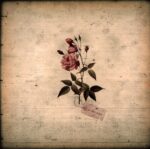 In The Pines-In The Pines-LP Vinyl