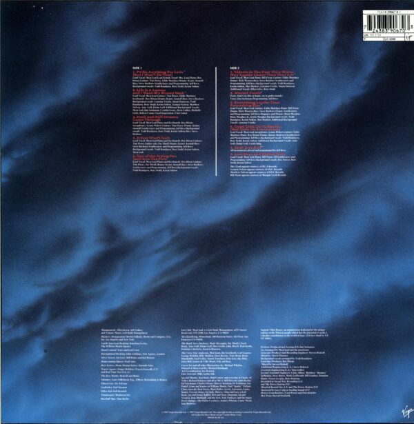 Meat Loaf-Bat Out Of Hell II Back Into Hell...-LP Vinyl