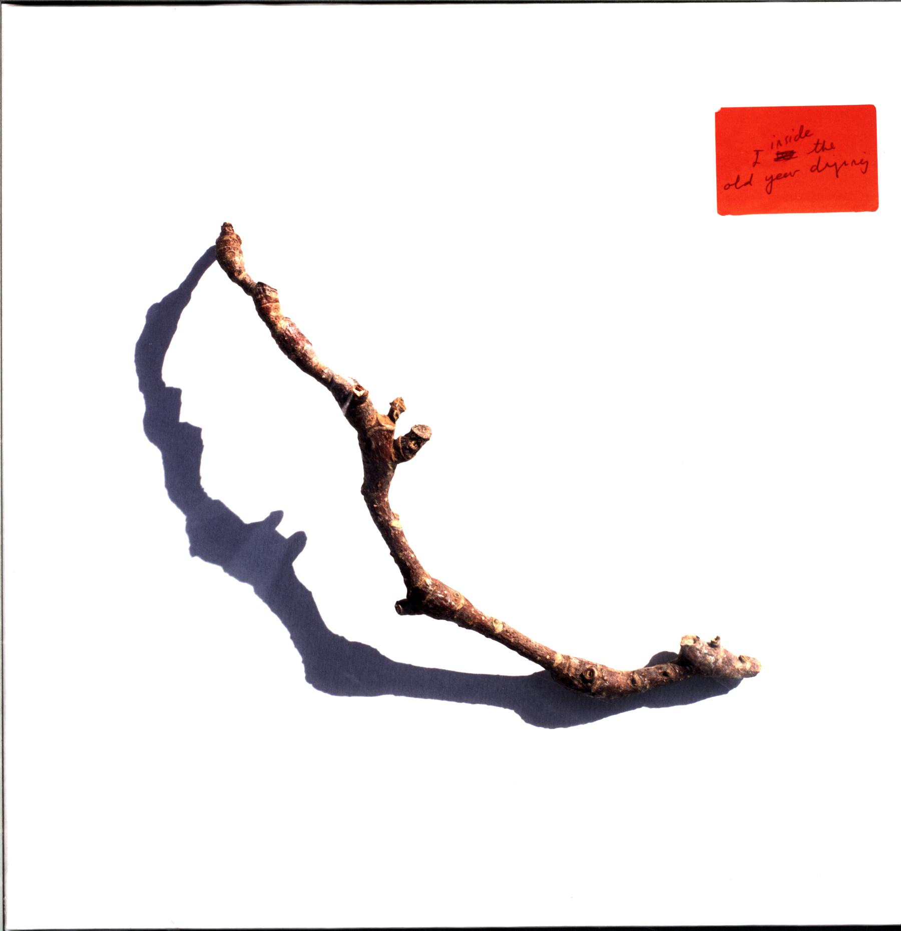 PJ Harvey-I Inside The Old Year Dying-LP Vinyl