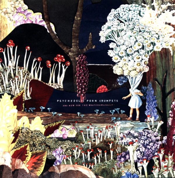 Psychedelic Porn Crumpets-And Now For The Whatchamacallit-LP Vinyl