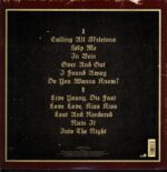 Alkaline Trio-Agony And Irony-LP Vinyl