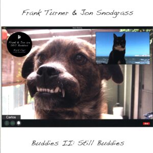 Frank Turner-Buddies II Still Buddies-LP Vinyl