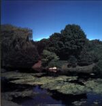 Shellac-Terraform-LP Vinyl