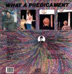 Sofa Head-What A Predicament-LP Vinyl