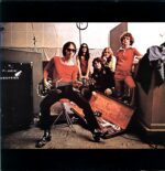 The Flamin' Groovies-Teenage Head-LP Vinyl